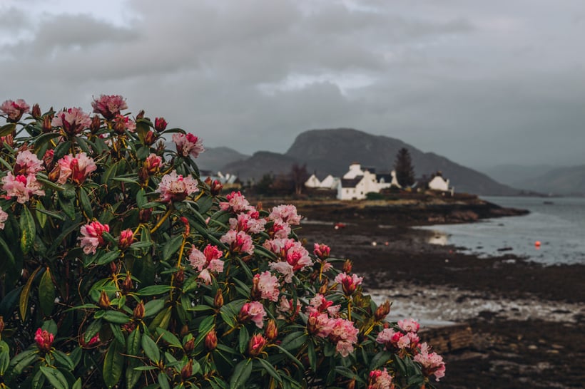 Plockton